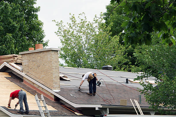 Best Roof Gutter Cleaning  in Big Pine, CA